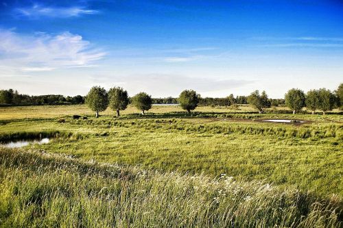 landscape view nature