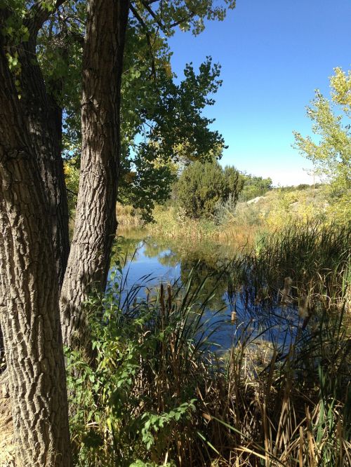 landscape southwest scenic