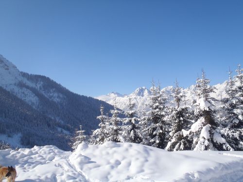 landscape snow nature