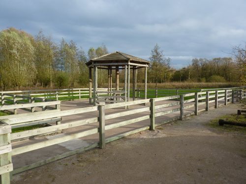 landscape nature wood