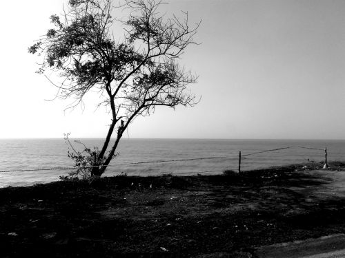 landscape sea beach