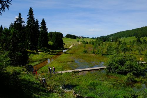 landscape jura lake