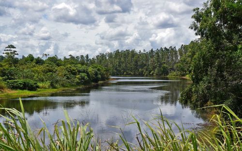 landscape lake nature