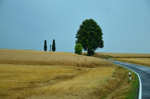landscape cereal fields road