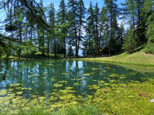 landscape nature lake