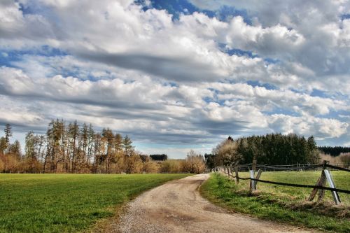 landscape forest away