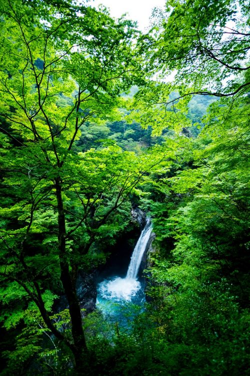 landscape waterfall water