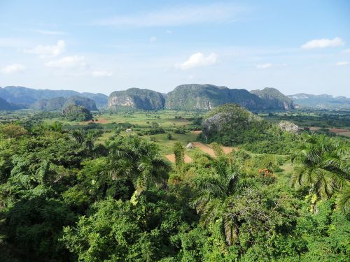 landscape nature cuba