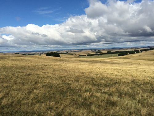 landscape fields aubrac