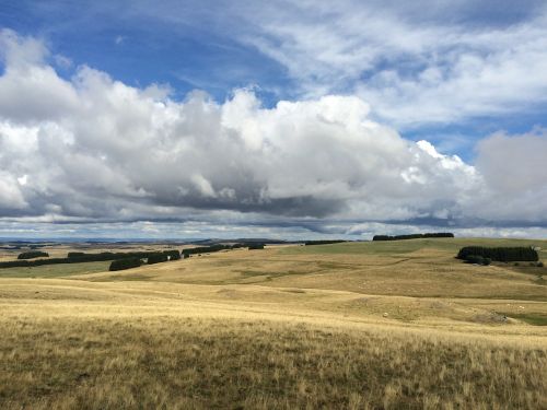 landscape fields aubrac