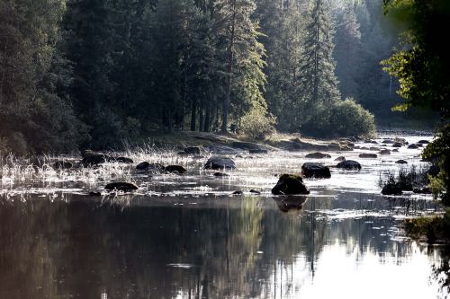 landscape river morning