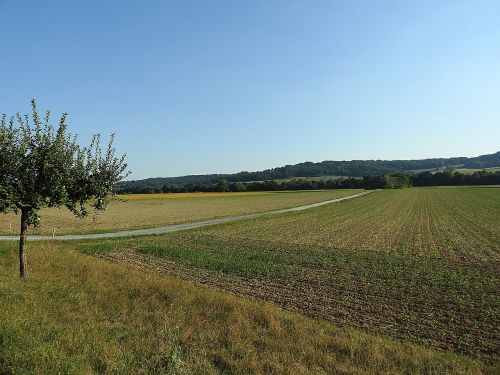 landscape fields arable