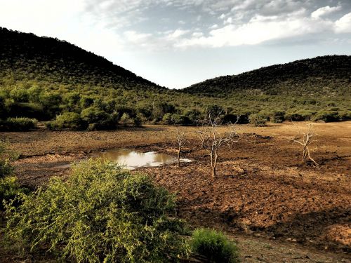 landscape africa nature