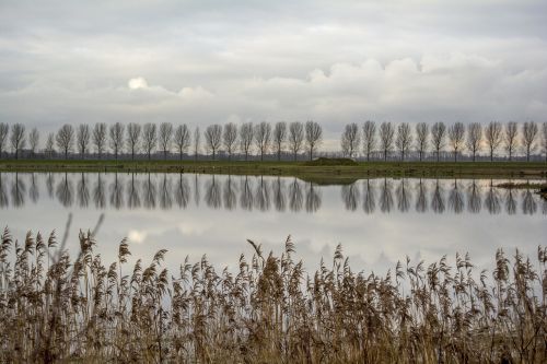 landscape polder dutch landscape