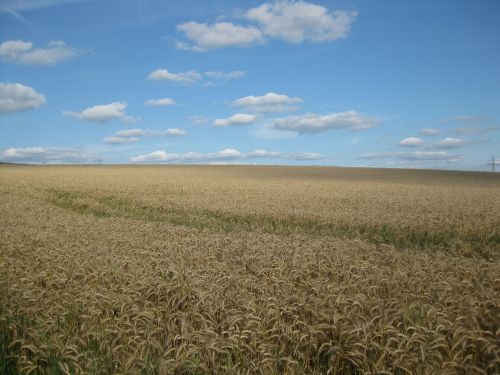 landscape freedom sky