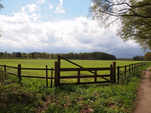 landscape pasture fence