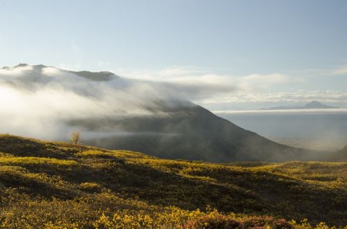 landscape fog nature