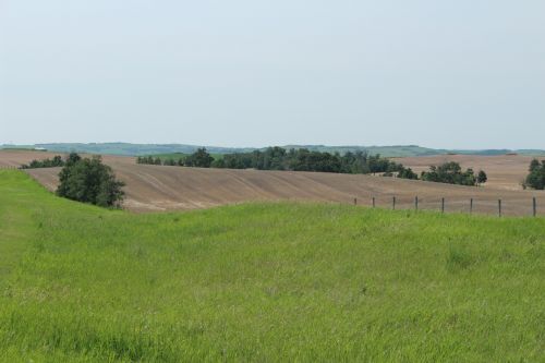 Landscape Field Scenery