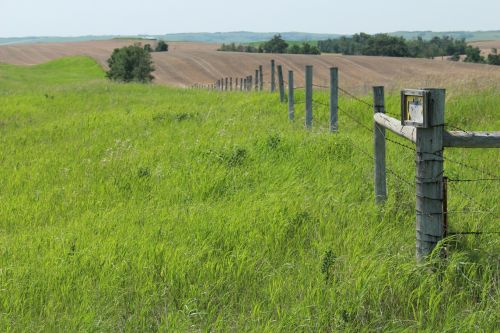 Landscape Field Scenery Fence