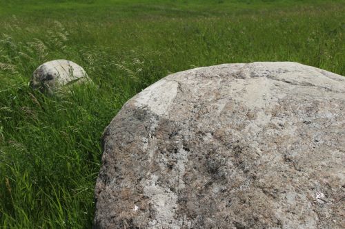 Landscape Field Scenery Rock