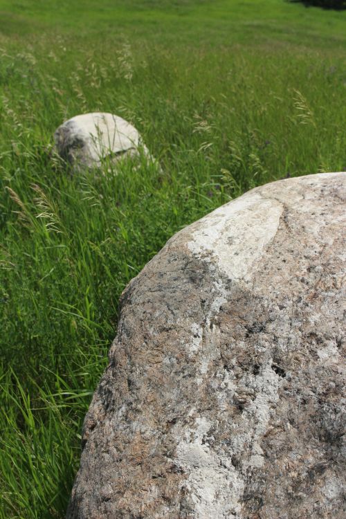 Landscape Field Scenery Rock