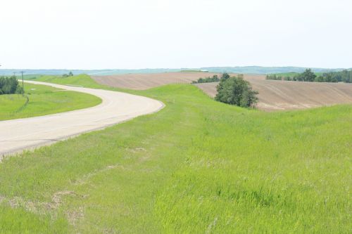 Landscape Field Scenery