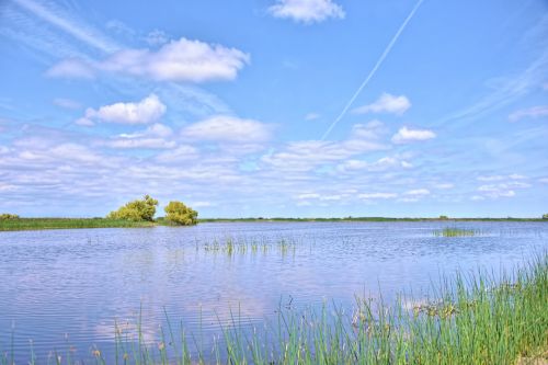 Landscape Of Wetlands Preserve