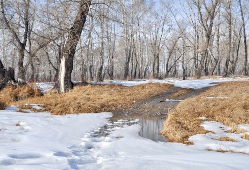 Landscape With Snow