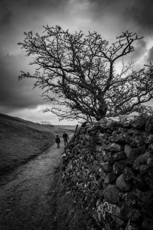 Landscape, Yorkshire Dales