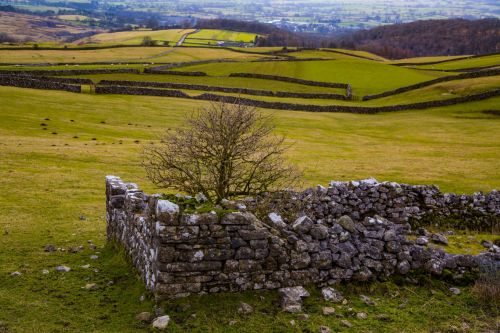 Landscape, Yorkshire Dales