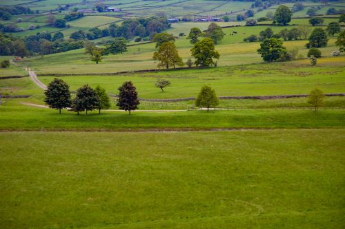 Landscape, Yorkshire Dales