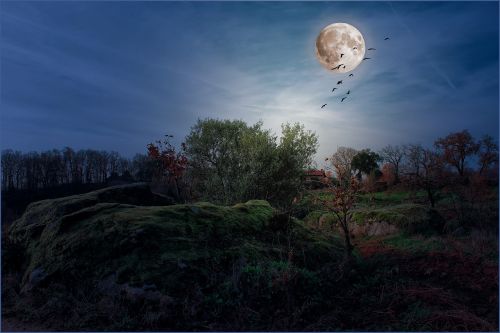 landscapes moon night