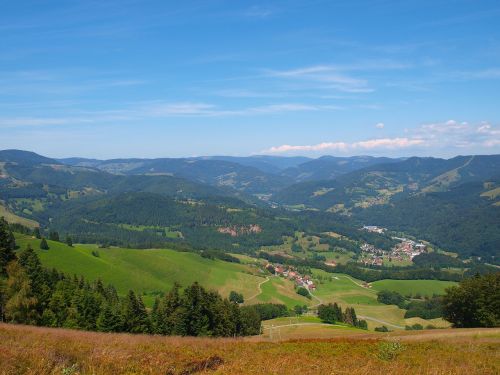 landscapes germany black forest