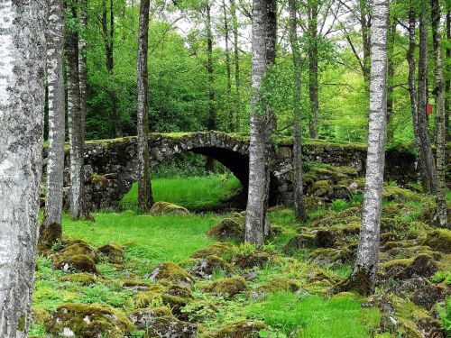 landscapes greenery stone bridge