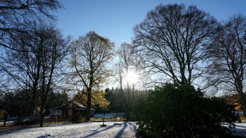 landscapes sunny snow