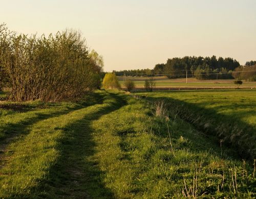 lane meadow field