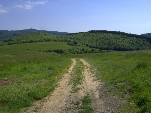 lane meadow country