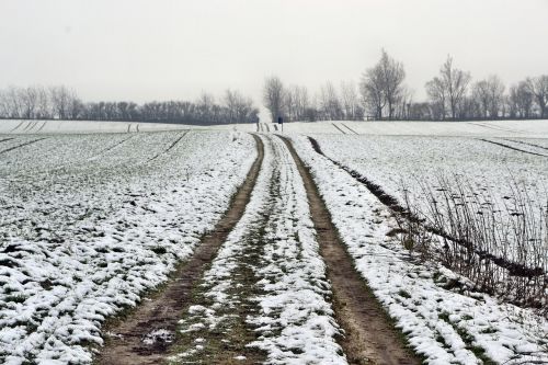 lane snow winter