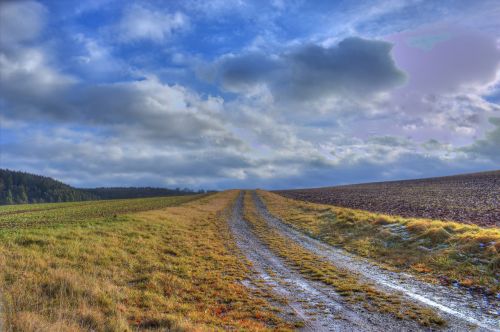 lane sky arable