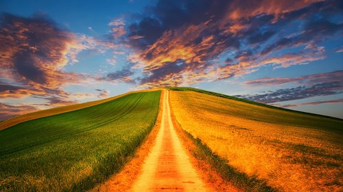 lane  countryside  landscape