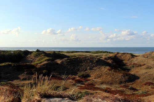 langeoog  coast  north sea