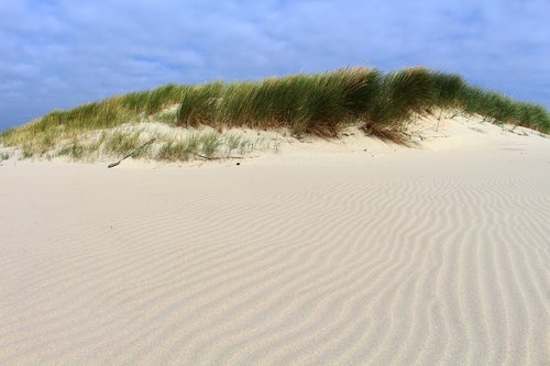 langeoog  sand  north sea
