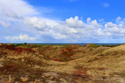 langeoog  island  east frisia