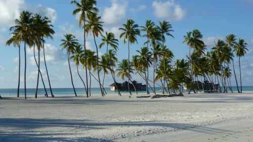 lankanfushi maldivermna island paradise