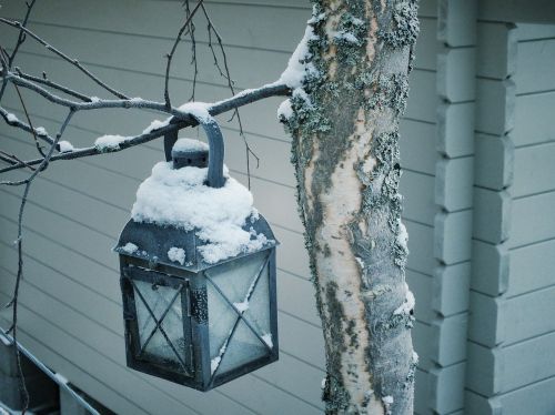 lantern frozen lantern tree