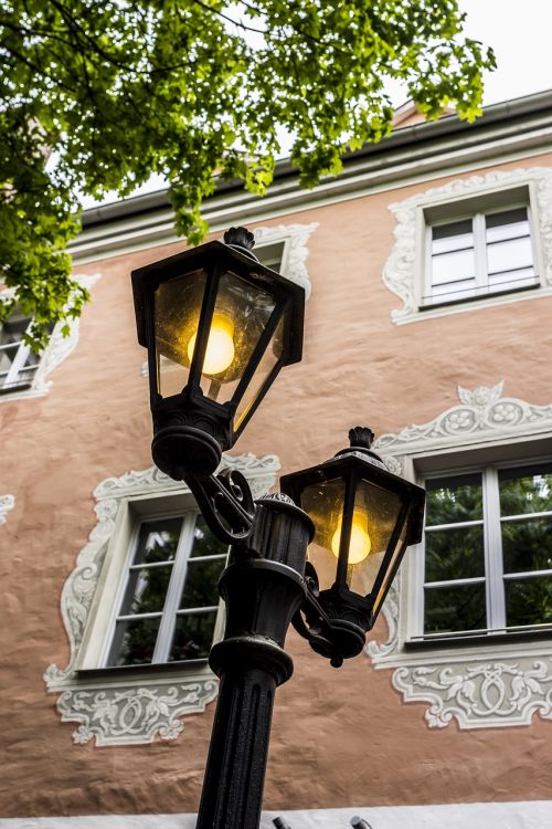 lantern courtyard tree