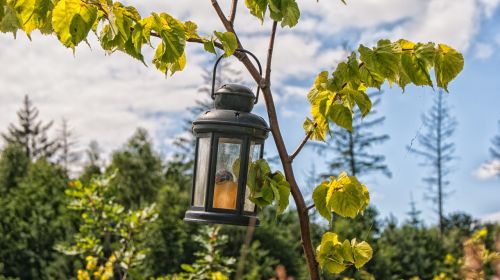 lantern tree memorial site