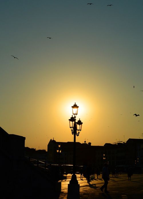 lantern birds abendstimmung