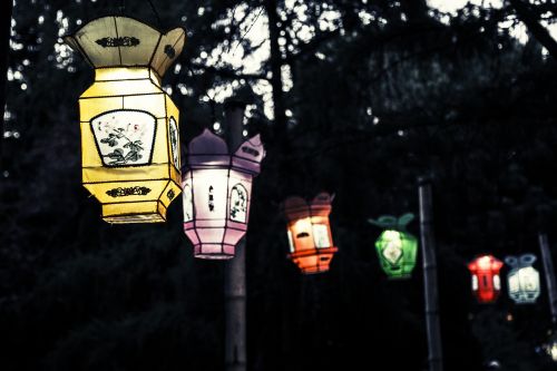 lantern chinese new year