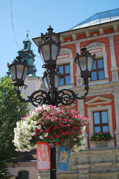 lantern  street lamp  flowers